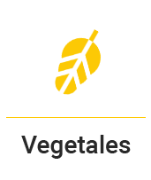 vegetales